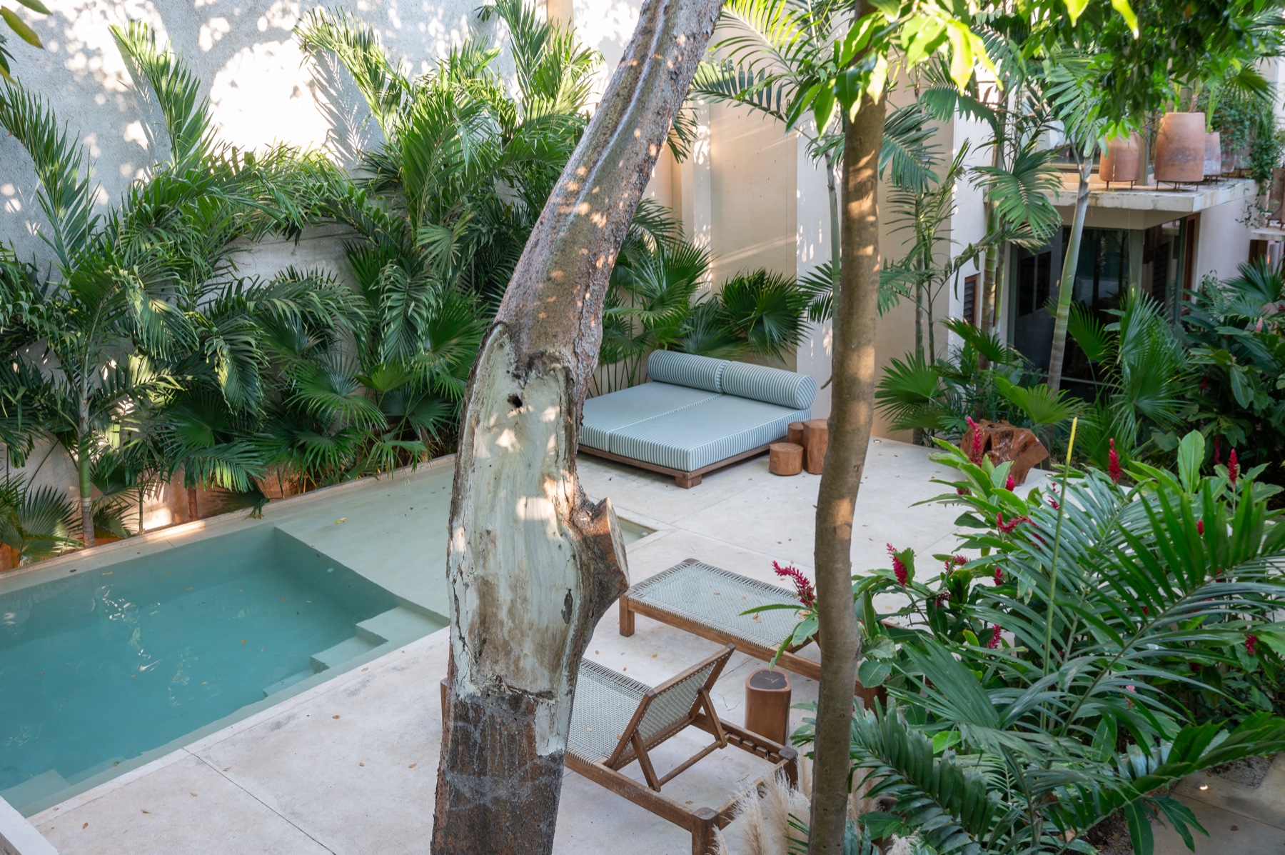 Pool & garden from above — Chakah tree, daybeds