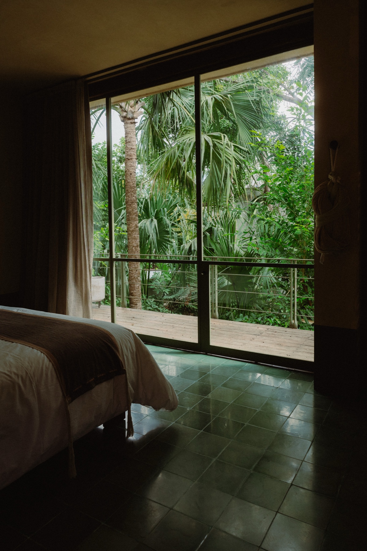 Jungle King Suite